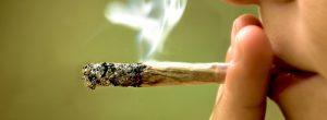 ¿La marihuana es adictiva? Puedes apostar tu Cheetos en la respuesta Cannabis tecnica de relajacion eficaz para la ansiedad o factor de riesgo para la fobia social