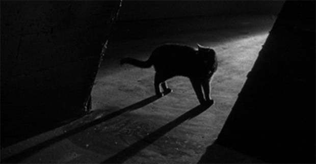 Reseña: El gato negro y otros cuentos de horror - Edgar Allan Poe