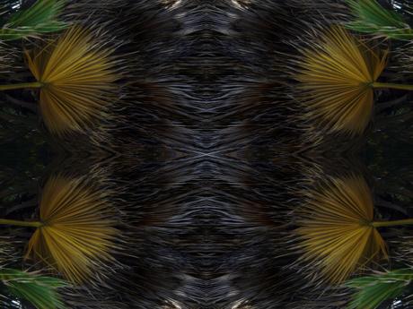 Il Venerdí di Photosatriani N. 128