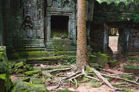 CRÓNICAS DE INDOCHINA: ANGKOR II (EL IMPERIO VERDE) CRÓNICAS DE INDOCHINA: ANGKOR II (EL IMPERIO VERDE)