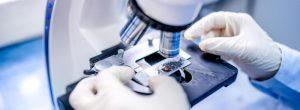 ¿Puede la aspirina detener el cáncer de hígado en pacientes con hepatitis B? Muchos tumores pélvicos en mujeres pueden tener un origen común: trompas de Falopio