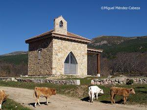 En el Monte de Sotillo: Excursión de Casillas al Borbillón