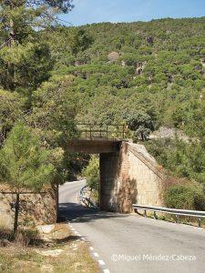 En el Monte de Sotillo: Excursión de Casillas al Borbillón