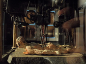 colonia penitenciaria (Franz Kafka).