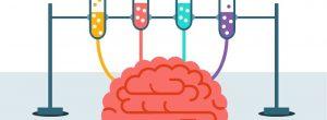 Impulsar las habilidades sociales con la exploraciĂłn del cerebro