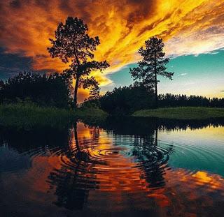 AMANECE YA... AMANECE YA...