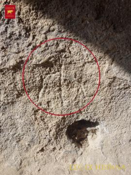 La necrópolis de Las Aguilillas