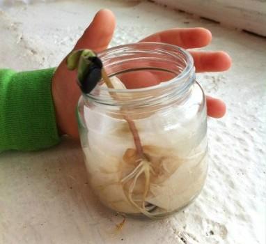 6 Recursos que Representan Verdaderos Retos para los Niños