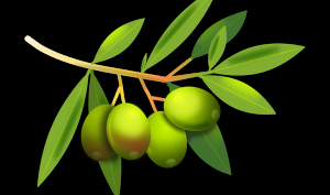 Remedios caseros para los piojos Remedios caseros para los piojos