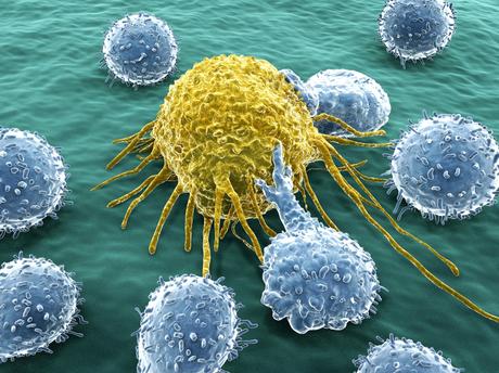 Como Cambiar una Célula Cancerosa en una Célula Sana