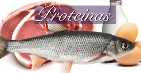 Dieta proteica para quemar grasa Dieta proteica para quemar grasa