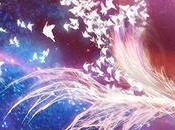 Comunicado Edanna Patsaki