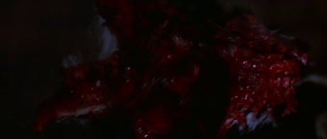 The Thing - 1982 The Thing - 1982