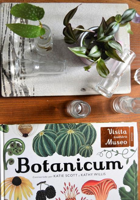 BOTANICUM, UN MUSEO HECHO LIBRO