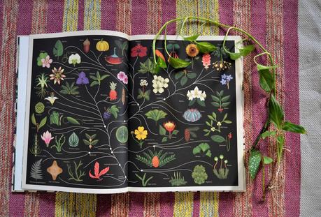 BOTANICUM, UN MUSEO HECHO LIBRO