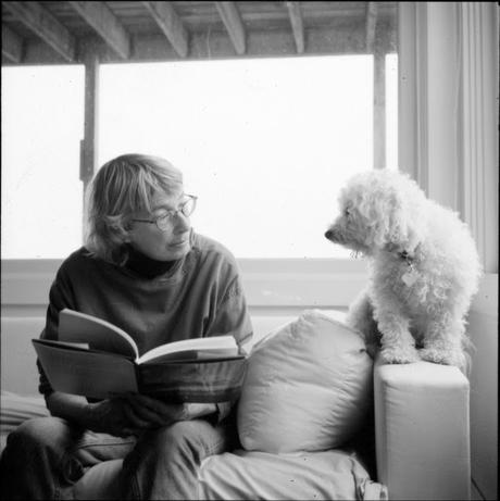 Mary Oliver | El pájaro rojo