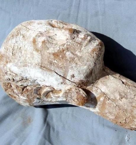 Arqueólogos descubren una desconocida talla de madera de la cabeza de la reina faraónica Anjnesepepi II