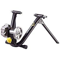 CycleOps Fluid 2 - Rodillo de entrenamiento con resistencia, color negro