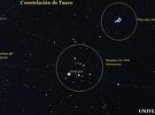 Tauro, constelación llena maravillas