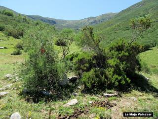 Pendilla-Bustamores-Tresconceyos-La Col.lá Propinde-El Portil.lín d'Escuenas-Valnabar