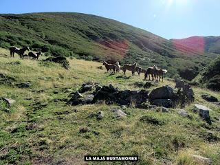 Pendilla-Bustamores-Tresconceyos-La Col.lá Propinde-El Portil.lín d'Escuenas-Valnabar