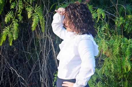 Falda raya diplomática Falda raya diplomática