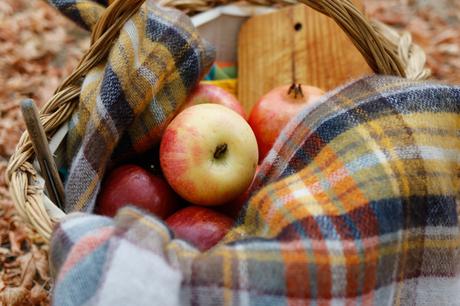 De picnic en otoño (OOTD)