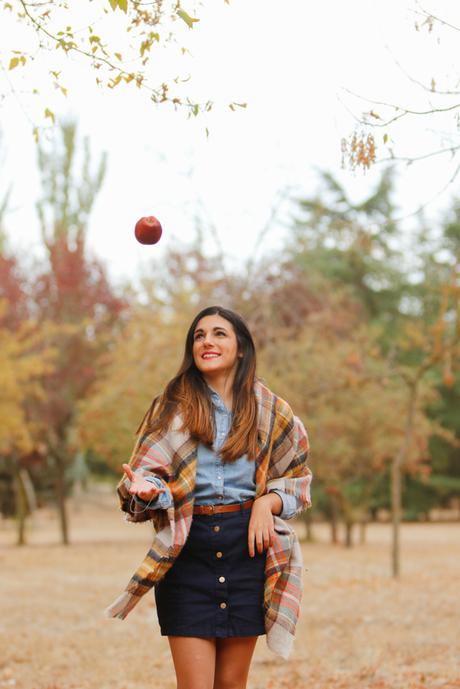 De picnic en otoño (OOTD) De picnic en otoño (OOTD)
