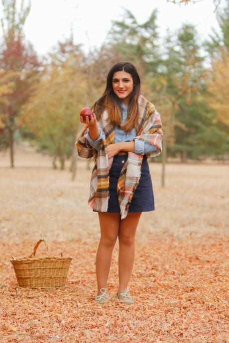 De picnic en otoño (OOTD)