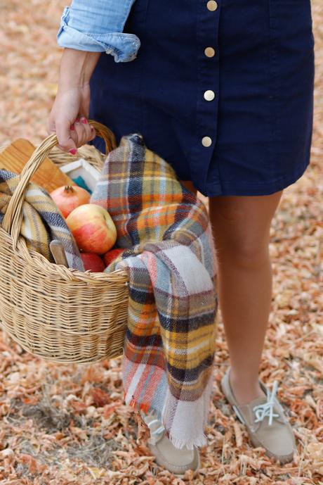 De picnic en otoño (OOTD)