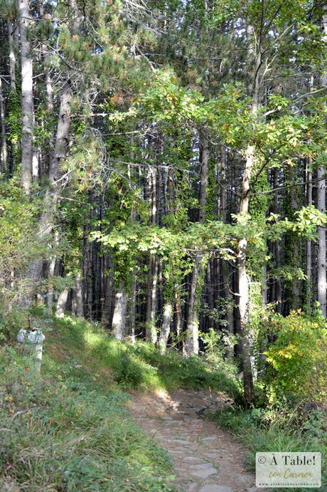 Ochagavía: Ruta Circular por el Camino de Irati y la Ermita de Muskilda