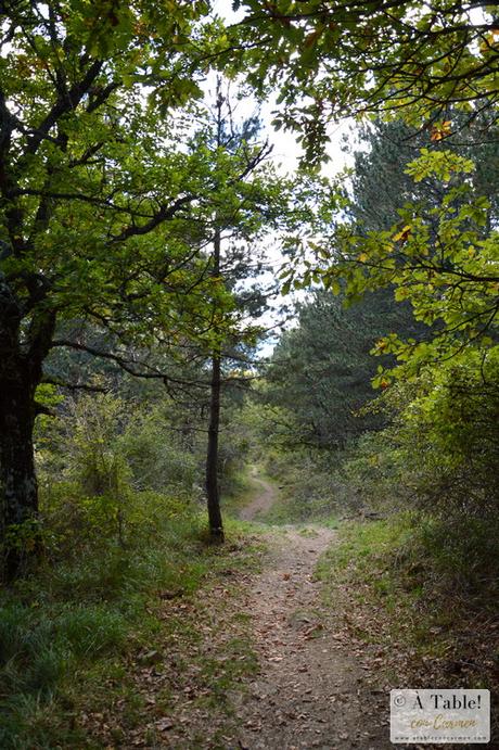 Ochagavía: Ruta Circular por el Camino de Irati y la Ermita de Muskilda