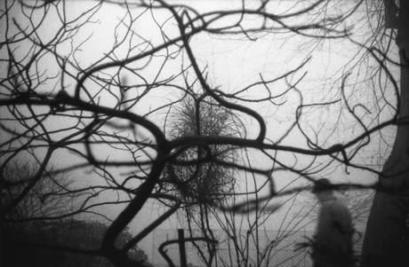 La fotografía no es sólo cosa de locales