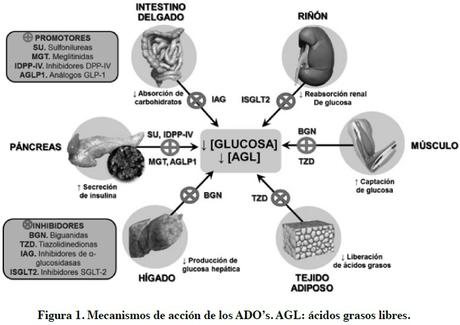 Evaluan nuevos Sensibilizadores a la Insulina