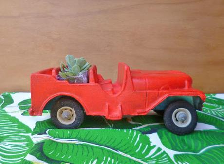 De autos antiguos y suculentas De autos antiguos y suculentas