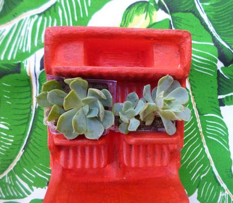 De autos antiguos y suculentas De autos antiguos y suculentas