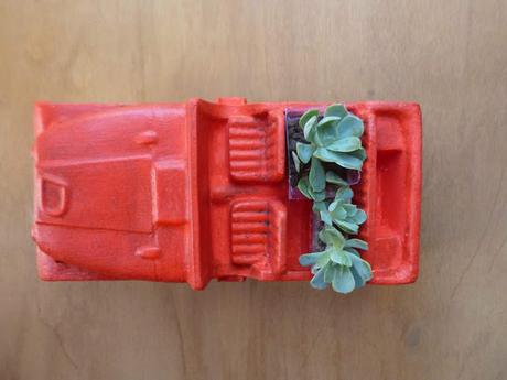 De autos antiguos y suculentas De autos antiguos y suculentas