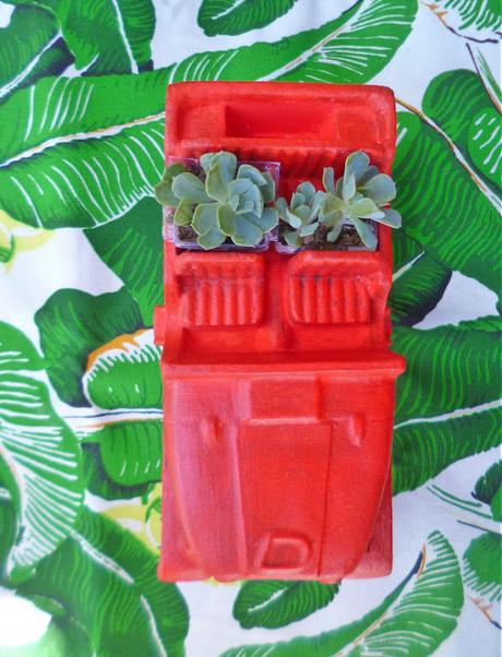 De autos antiguos y suculentas De autos antiguos y suculentas