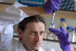 Los cultivos evolucionaron 10 milenios antes de lo que creíamos