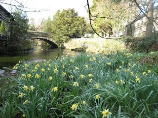 'Daffodils' ('Narcisos'), de William Wordsworth