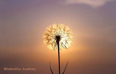 Tienes el Poder de Elegir TU Vibración, 5 Formas