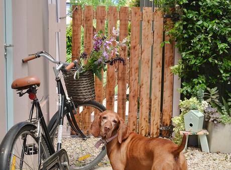 Estrenando tranquera: renovada y protegida con Cetol