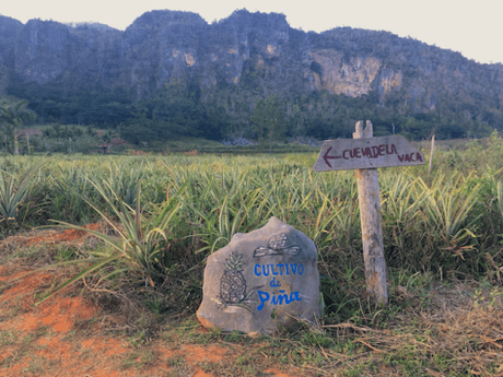 Viaje a Viñales