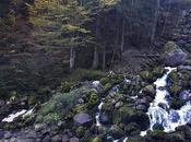 Autumn time