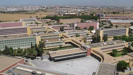 Comienza el Programa de Voluntariado Universitario de la UPO con unas jornadas de sensibilización Comienza el Programa de Voluntariado Universitario de la UPO con unas jornadas de sensibilización