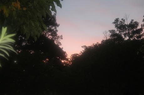 Imposible percibir la belleza con ojos ajenos.