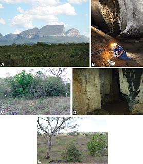 Nuevos isópodos en cuevas de Brasil
