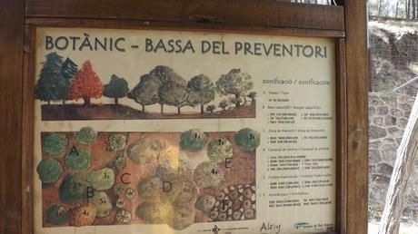 El Preventori de Alcoy