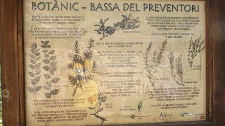 El Preventori de Alcoy