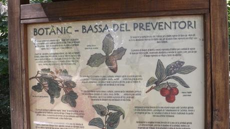 El Preventori de Alcoy